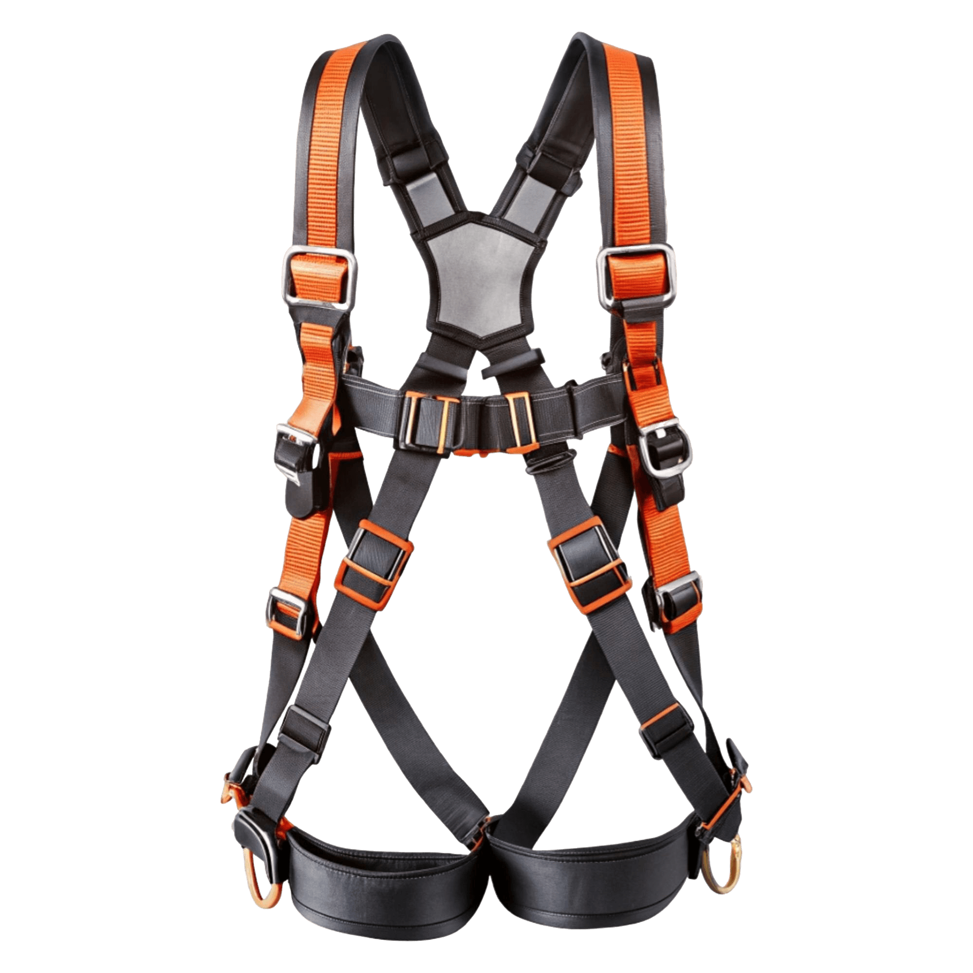 Harness